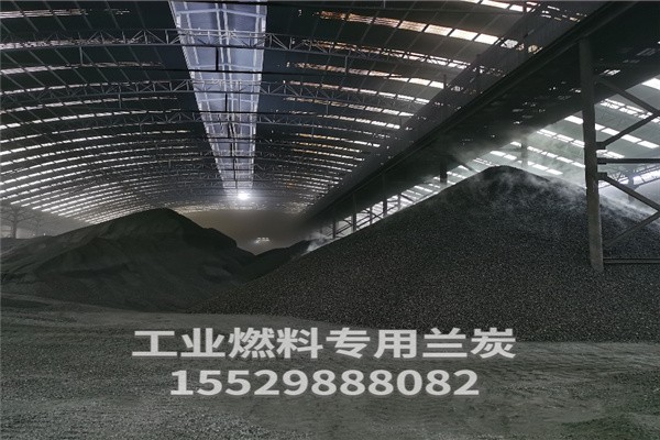 蘭炭?jī)r(jià)格揭秘，背后的故事與影響因素分析