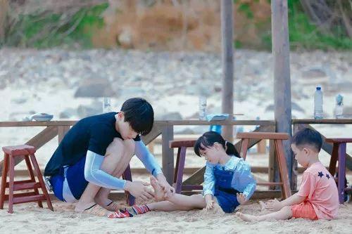 最新TV版資訊深度剖析，電視劇熱潮的影響力與影響