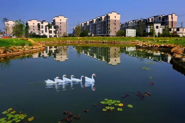 萍鄉(xiāng)安源湖，最新動(dòng)態(tài)揭示湖畔變革與自我超越之旅