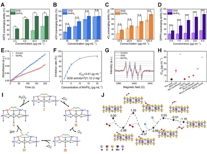 頭發(fā)再生研究新動態(tài),頭發(fā)再生研究新動態(tài)，小巷深處的秘密秀發(fā)實驗室