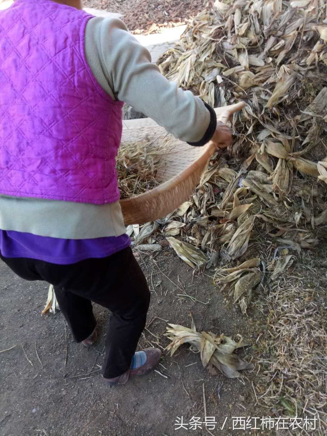 彬縣撤縣設(shè)區(qū)最新進(jìn)展，最新動(dòng)態(tài)更新