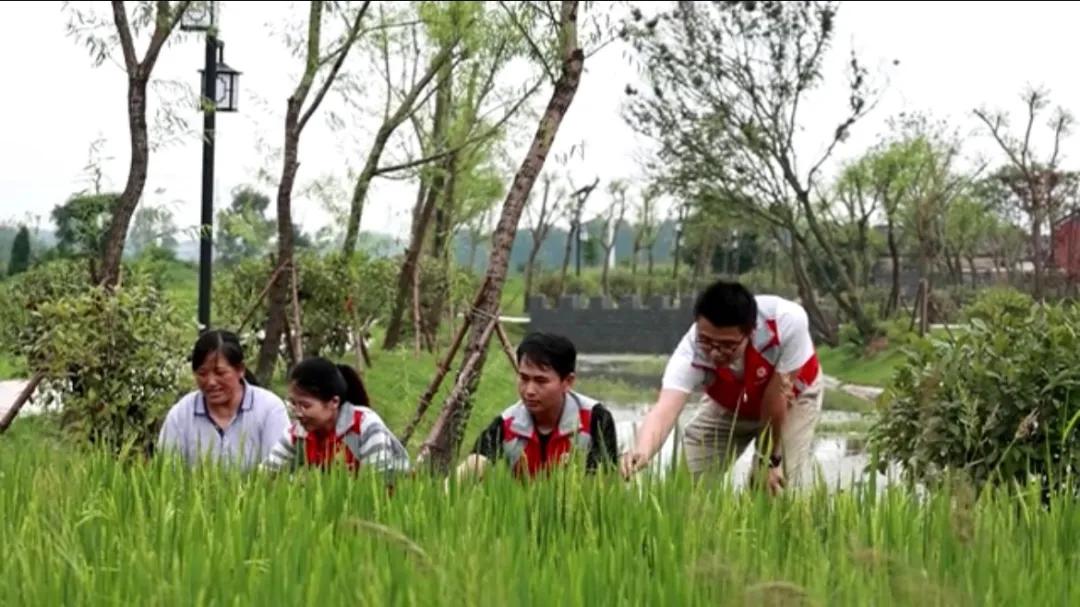 曲陽縣城最新招聘信息揭秘，小巷中的獨特小店等你來探索！