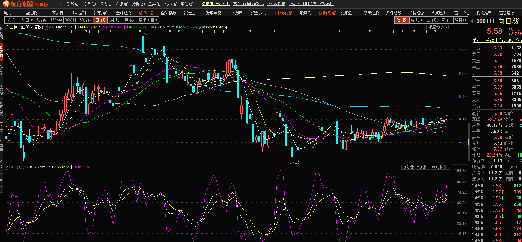 股市小天地，友情大天地——我與股票300141的日常故事分享
