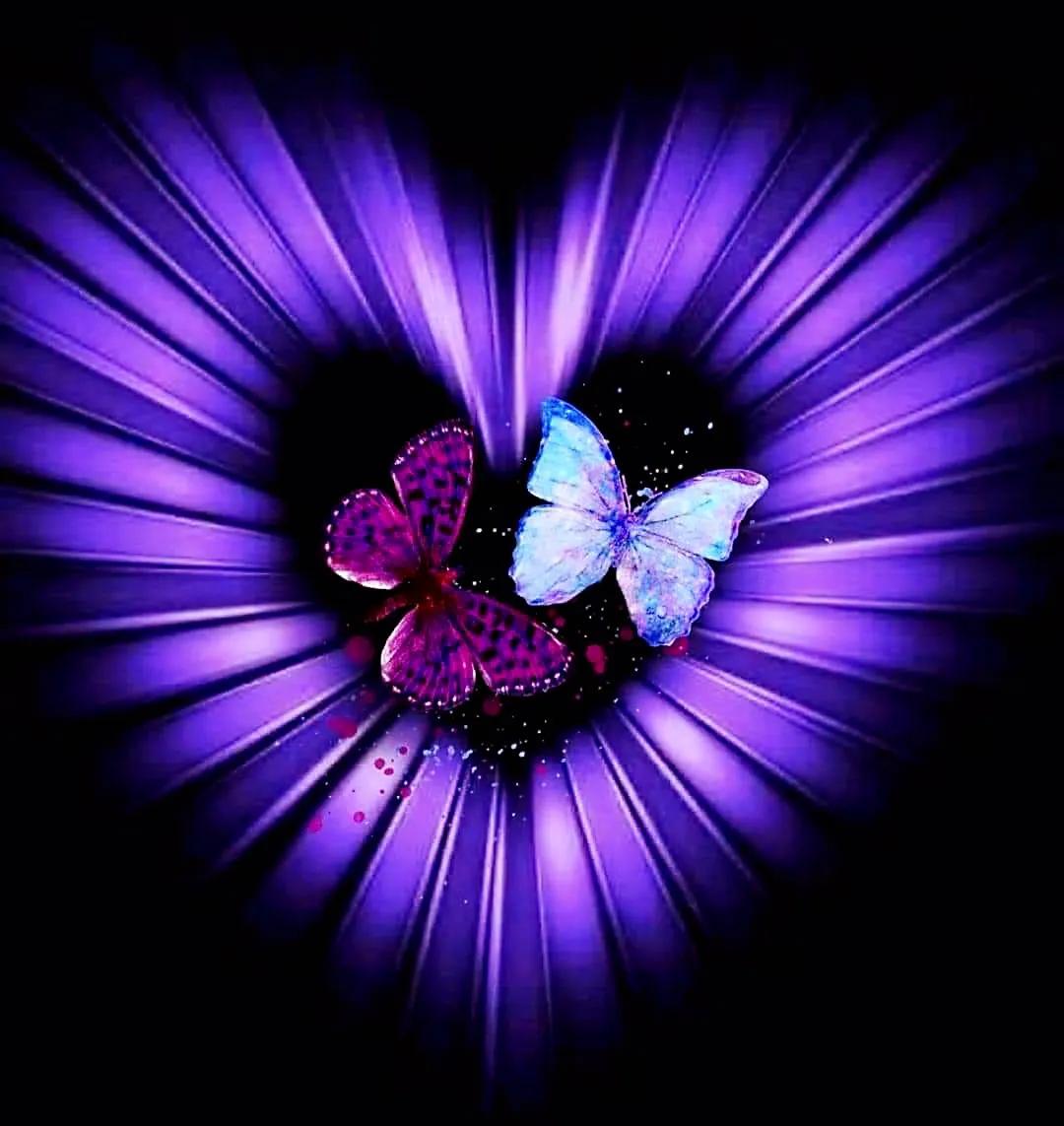 最新情感交流圈，學(xué)習(xí)、成長與自信的力量之源