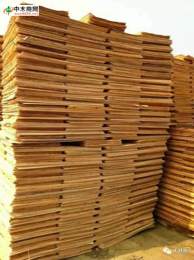 科技革新引領(lǐng)板皮廠行情，開啟板材加工新時代