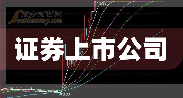 科技巨頭引領(lǐng)下的全新視界，股票上市公司概覽