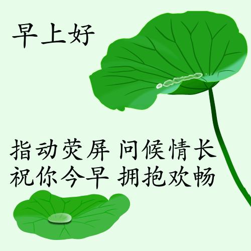 最新疫情動(dòng)態(tài)下的自然探索之旅，追尋內(nèi)心的平和與寧?kù)o