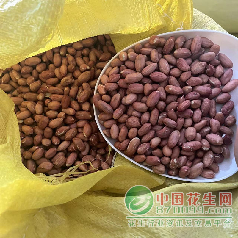 汝南花生米最新市場(chǎng)價(jià)格概況