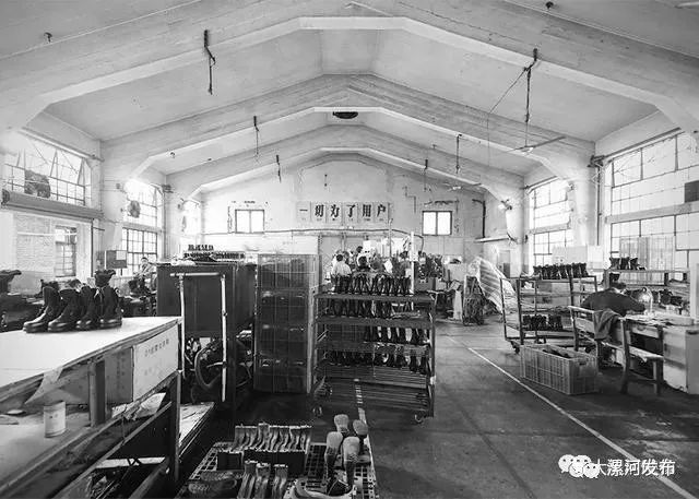 垓工廠日常趣事與深厚友情紐帶——最新報(bào)道與分享