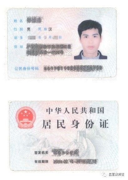 最新證照，友情與陪伴的溫馨故事之旅