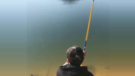 楊柏文最新垂釣視頻，從初學(xué)者到進(jìn)階用戶的技能提升指南