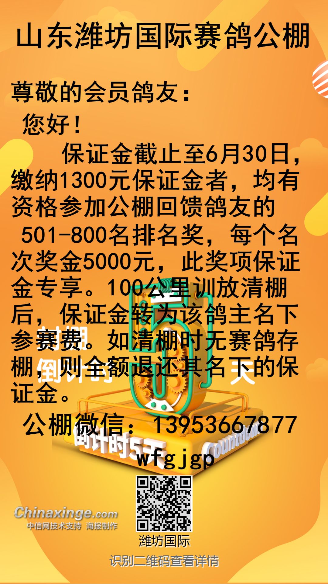 山東賽鴿公棚最新公告通知