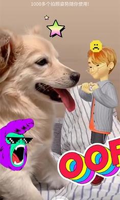 崽崽最新版下載，一段充滿愛與陪伴的溫馨旅程