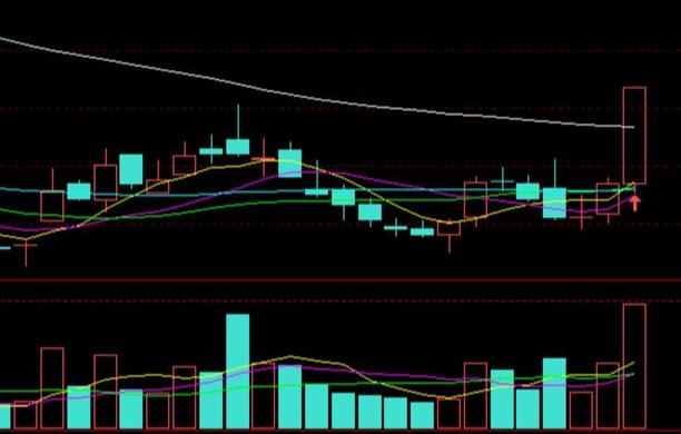 融捷最新公告詳解，任務(wù)完成指南與技能學(xué)習(xí)步驟全面解析