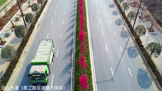 關(guān)花大道最新進(jìn)展，矚目盛景呈現(xiàn)！