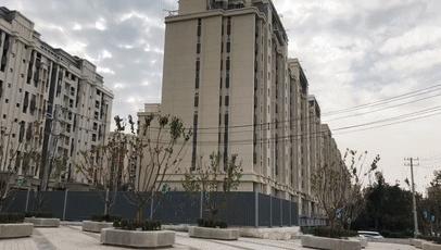 趙村最新動態(tài)，鄉(xiāng)村振興新篇章開啟