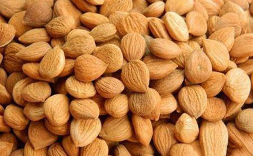 苦杏仁行情深度解析，背景、事件與地位探究