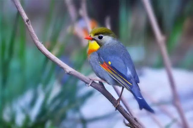 工程廠房燈具 第159頁