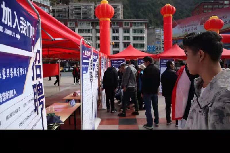 青白江招聘信息探索，小巷中的職業(yè)機遇