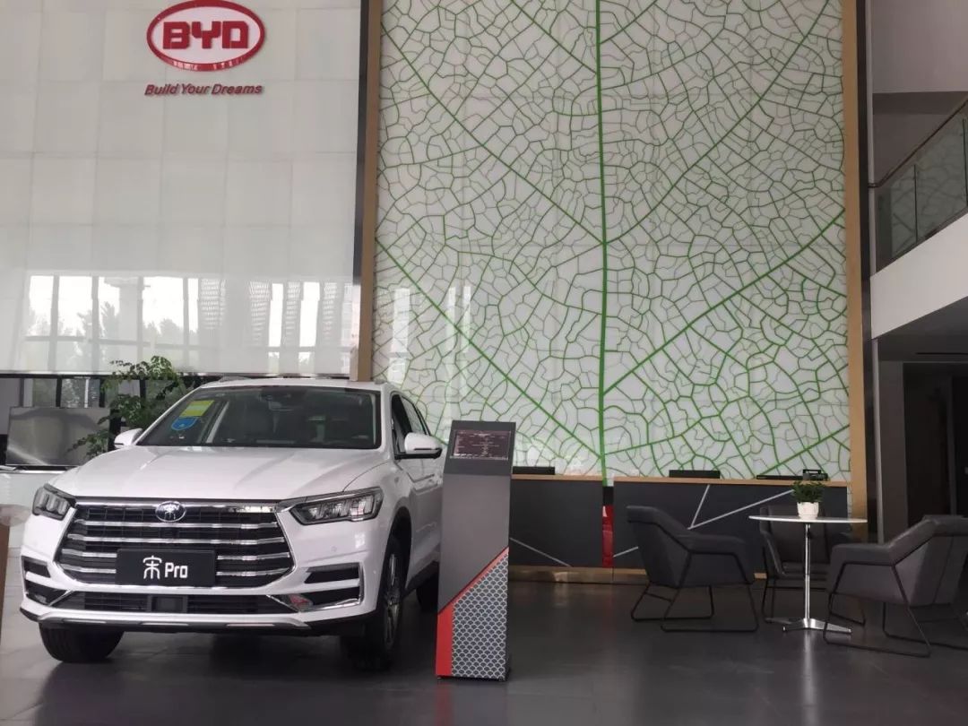 重磅更新，比亞迪最新招聘信息揭秘???