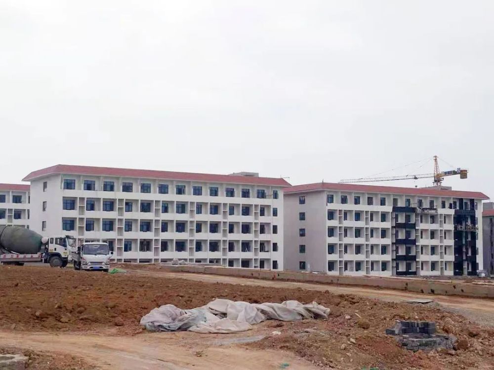 甘谷新聞，大石車禍最新進(jìn)展及觀點(diǎn)論述深度解析