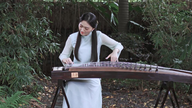 抖音最新琵琶演奏，古典與現(xiàn)代的完美融合之美