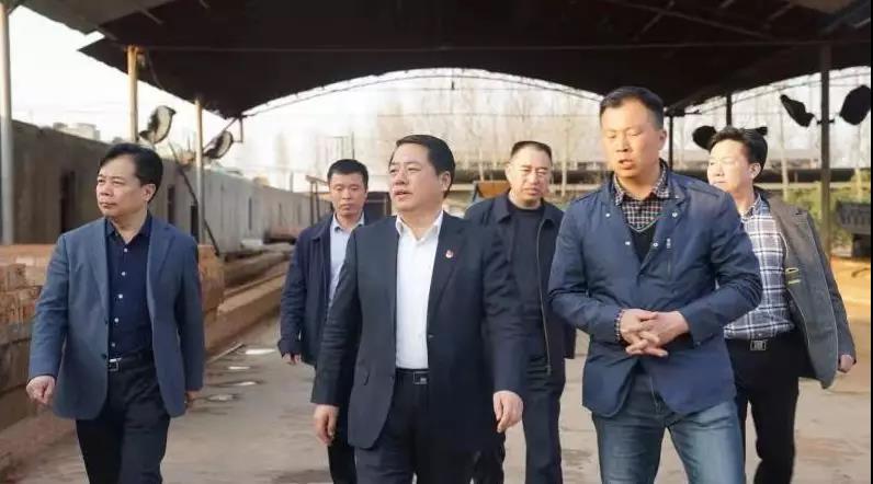 商丘王仲田最新動(dòng)態(tài)，探索自然美景的旅行，尋求內(nèi)心平和之旅