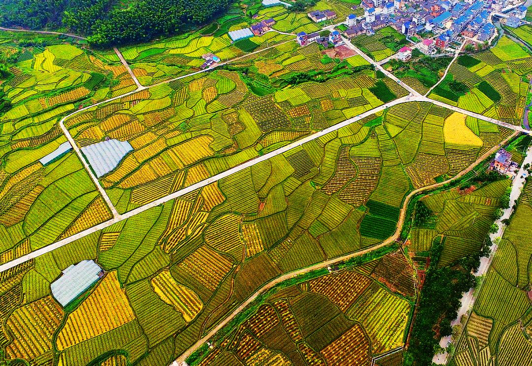 金竹最新規(guī)劃發(fā)布，開啟學(xué)習(xí)新篇章，培養(yǎng)自信與成就感的源泉