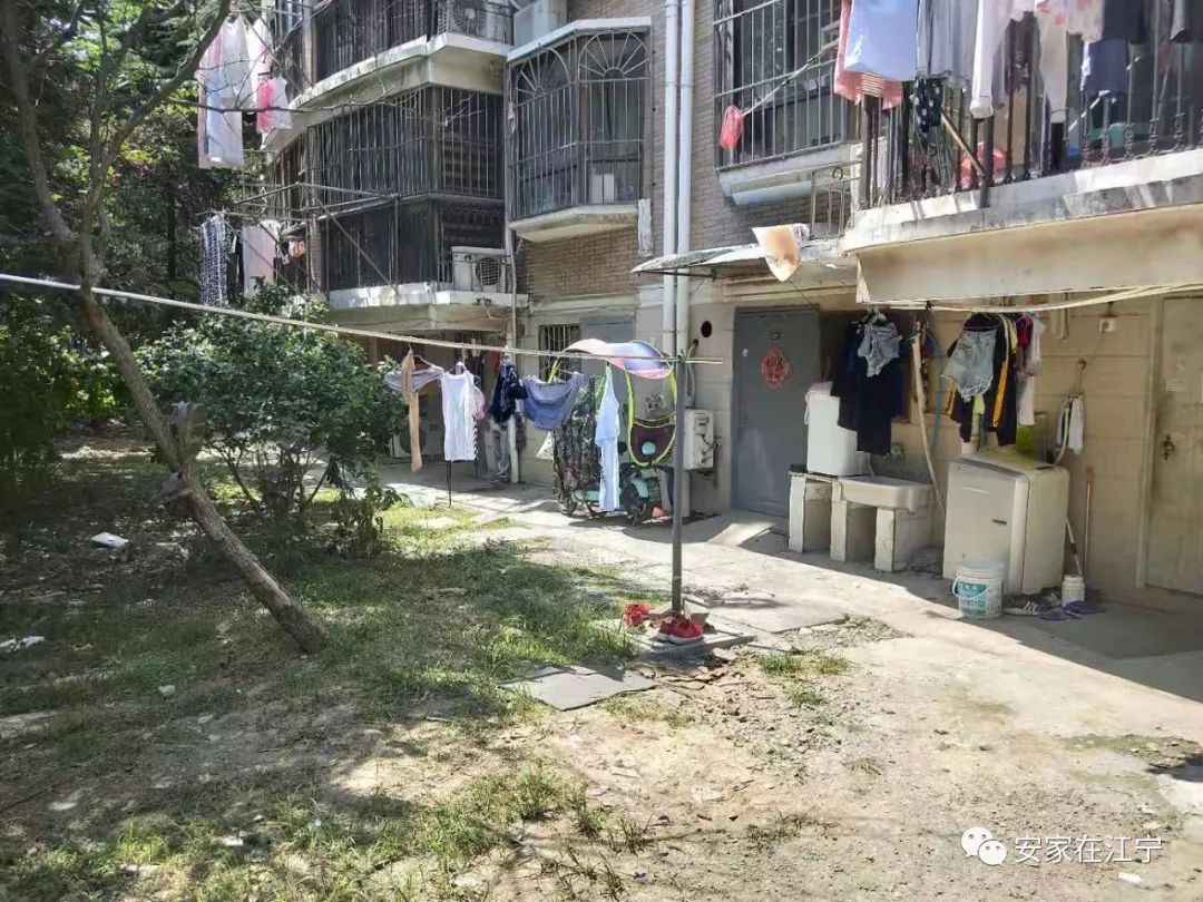 最新大雜亂時代，混沌與秩序的重建之路