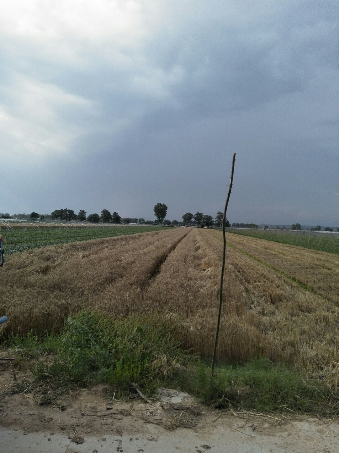 蒲城天氣預報，暖陽下的友情時光