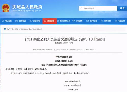 酒駕處罰2024最新標準詳解，步驟指南與更新概覽