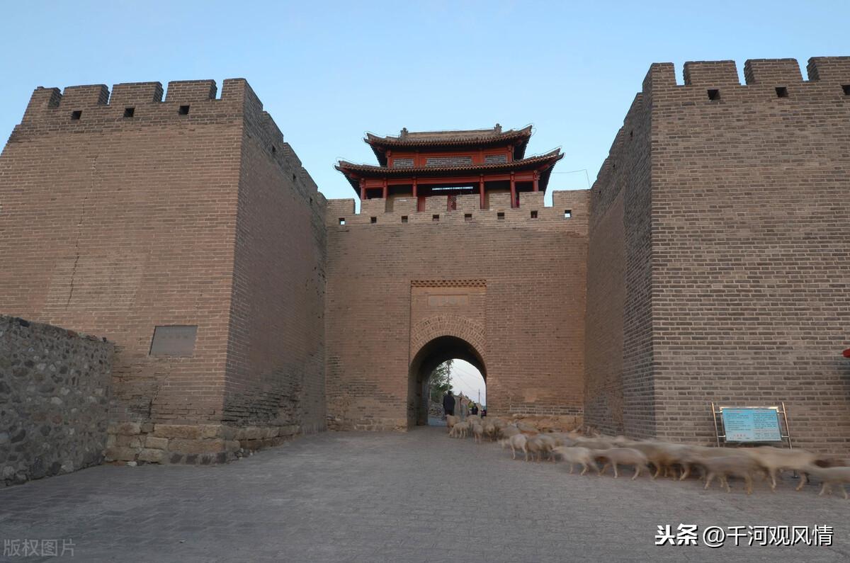 一夜談加急版最新熱點話題深度探討夜談紀(jì)實