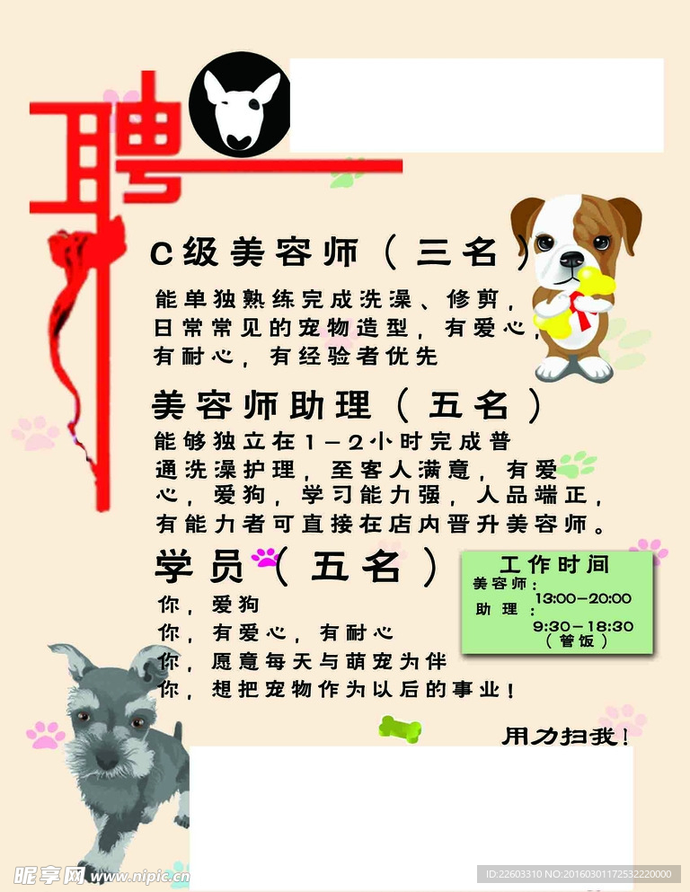 寵物店招聘最新動態(tài)，共探自然之美，尋求內(nèi)心寧靜