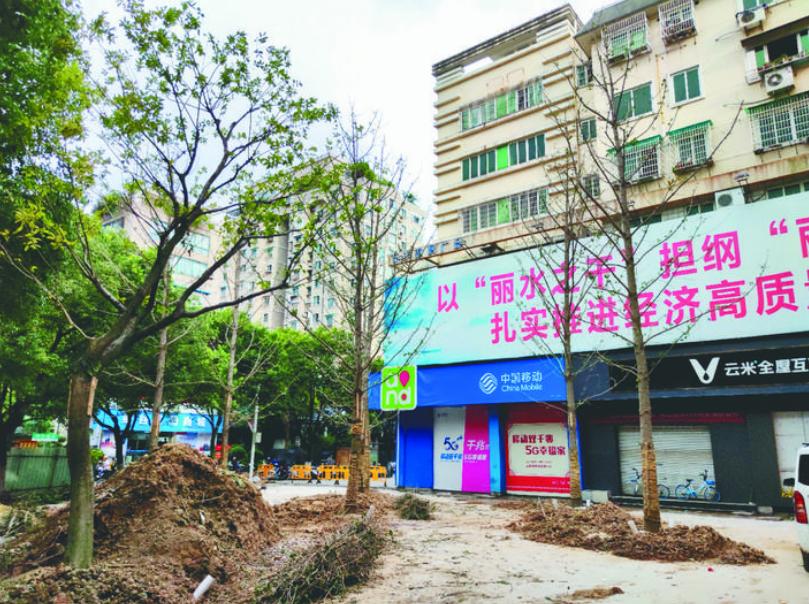 最新吊車(chē)網(wǎng)，自然美景之旅與內(nèi)心平靜的探尋