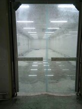 最新自由門，開啟你的自由之旅