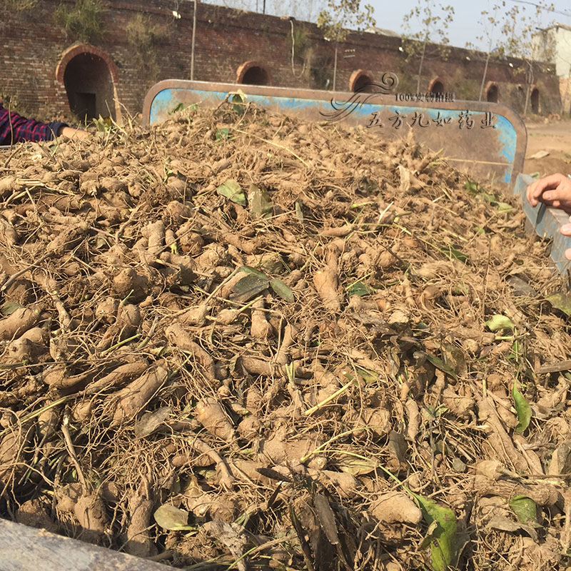 運動場館燈具 第140頁