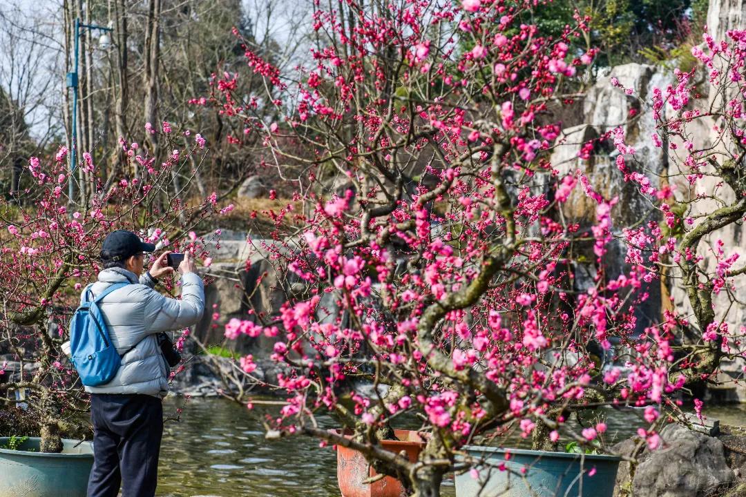 秀麗東方最新動態(tài)，啟程探索自然之美，尋找內(nèi)心寧靜之旅