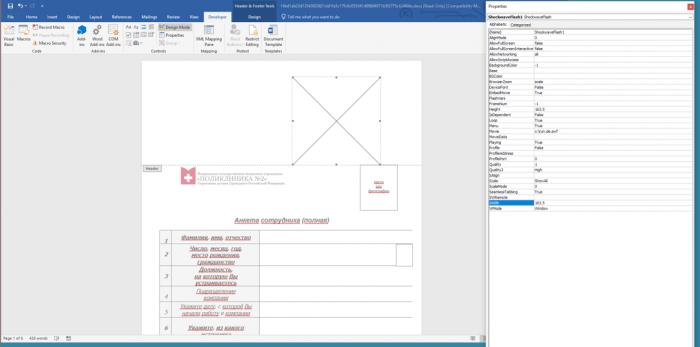 Flash Player官方最新版下載，探索小巷寶藏與特色小店的奇妙之旅