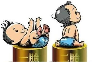 最新雙胞胎補助政策，攜手同行，助力孕育夢想之路