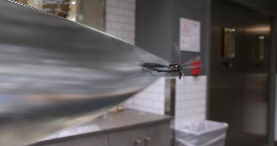 最新電泳技術(shù)，一路向前，學(xué)習(xí)成就自信之源