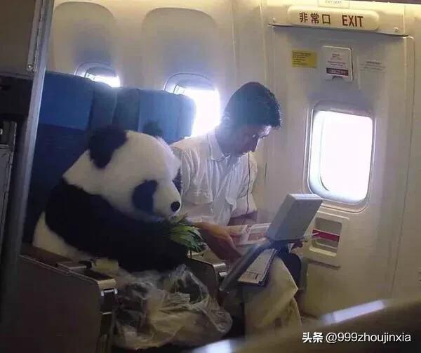 追逐變化之翼，學(xué)習(xí)鑄就自信與成就——虛幻最新探討