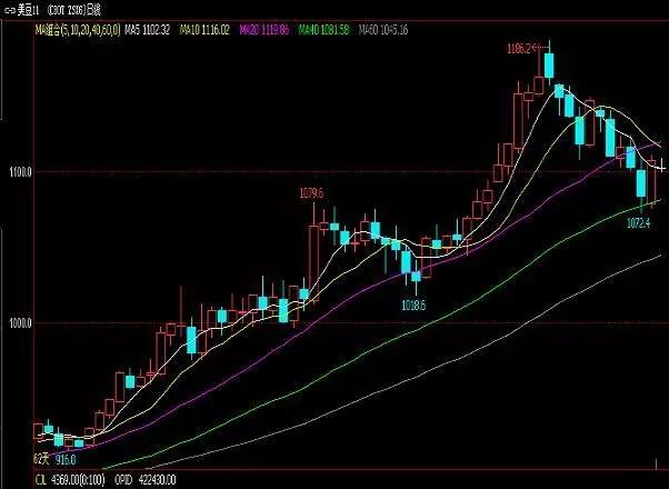 豆油最新行情概覽，市場(chǎng)走勢(shì)分析與未來(lái)展望