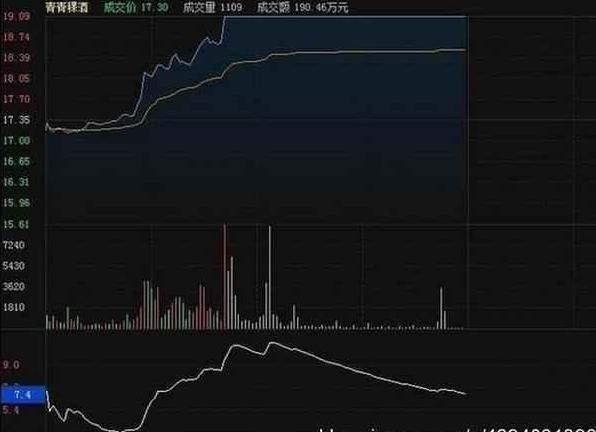 胡立陽最新探索，自然美景的治愈之旅