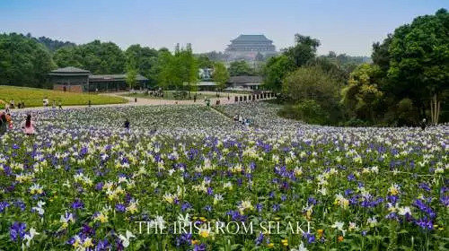 石象湖門票最新信息，賞花門票火熱搶購中！
