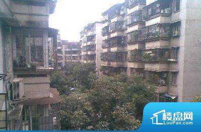 榴社區(qū)2024最新地址揭秘，科技前沿重塑生活體驗新篇章