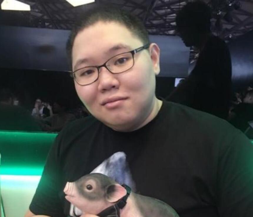 PDD最新直播視頻，直播界的璀璨明星閃耀時(shí)刻