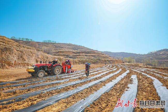 秦安最新新聞，城市溫情日常溫馨小事報(bào)道