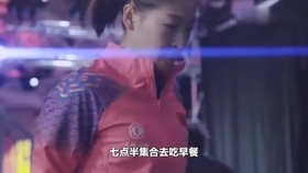 笑斯人最新視頻，日常趣事與友情的紐帶展現(xiàn)！