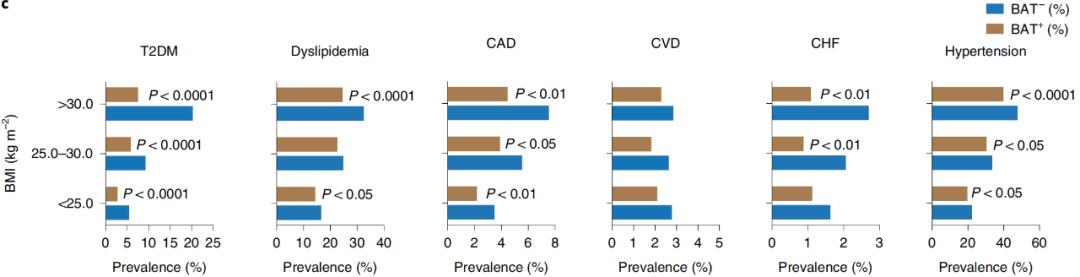 腦疾病最新研究，重塑大腦信心與成就感之路
