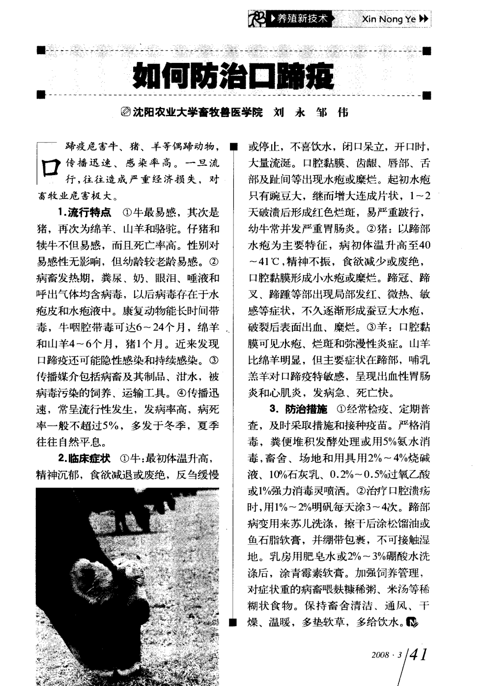 口蹄疫最新科研，自然探險(xiǎn)與內(nèi)心平和的追尋之旅